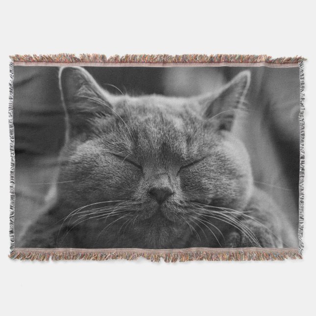 Couverture Photographie du visage de chat endormi (Devant)