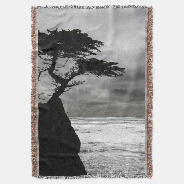 Couverture Photographie nature noir et blanc (devant Vertical)