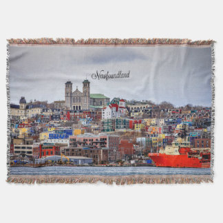 Couverture Photographie panoramique de Terre-Neuve