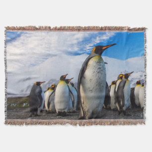 Couverture Pingouins Marching Ciel bleu