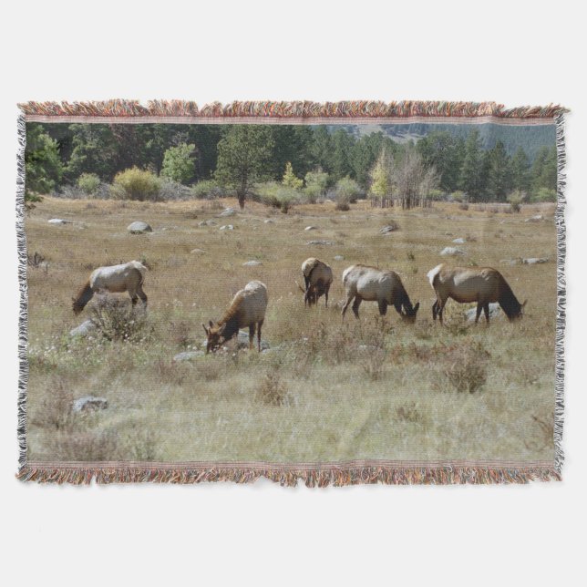 Couverture plaid de lancer cerf élaphe (Devant)