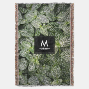 Couverture Plante mosaïque Fittonia aux feuilles panachées