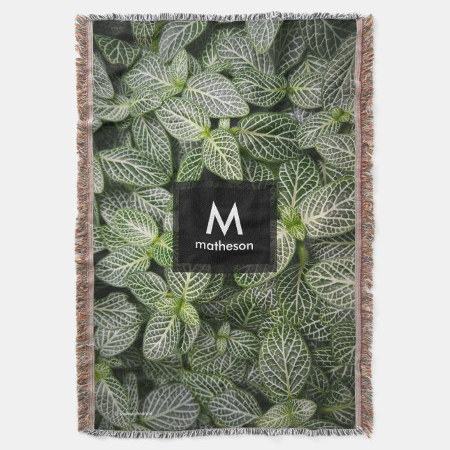 Couverture Plante mosaïque Fittonia aux feuilles panachées (devant Vertical)