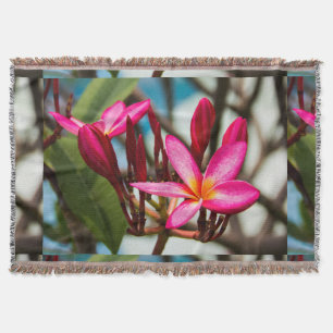 Couverture Plumeria arrière - plan de fleurs exotiques