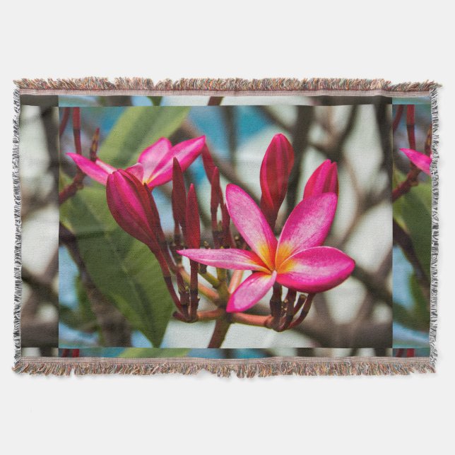 Couverture Plumeria arrière - plan de fleurs exotiques (Devant)