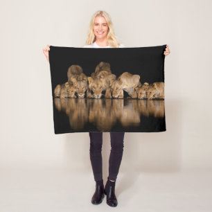 COUVERTURE POLAIRE 