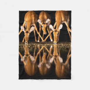 COUVERTURE POLAIRE 