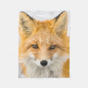COUVERTURE POLAIRE 