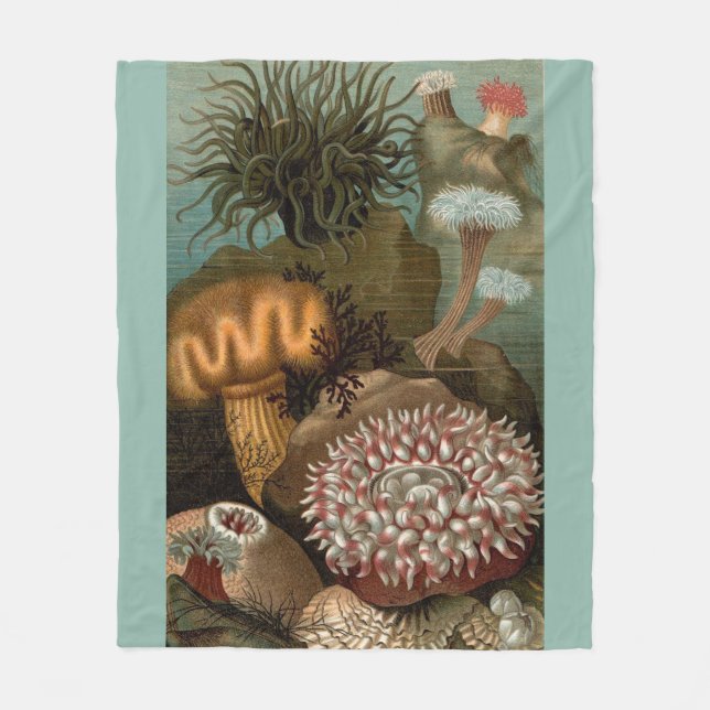 Couverture Polaire 19e century print sea anemones (Devant)