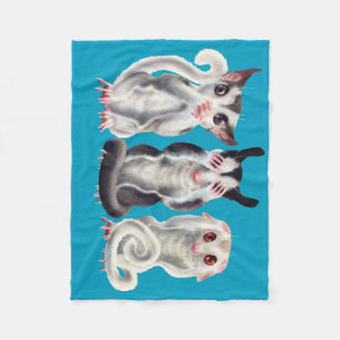Couverture Polaire 3 planeurs sages de sucre