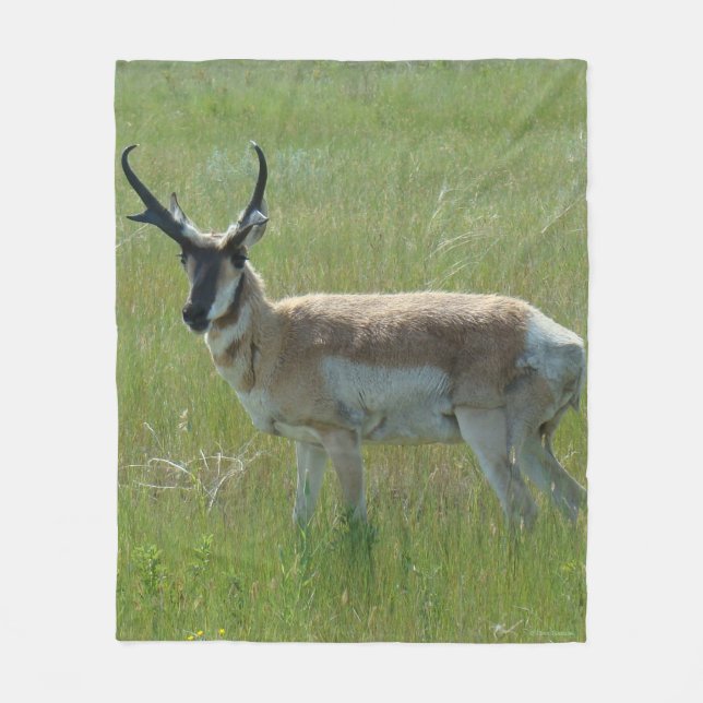 Couverture Polaire A36 Pronghorn Antilope mâle (Devant)