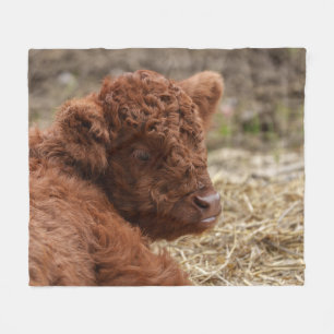 Couverture Polaire Adorable veau de vache des Highlands à Hay