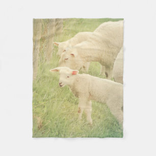 Couverture Polaire Agneau Bébé Animaux Mouton