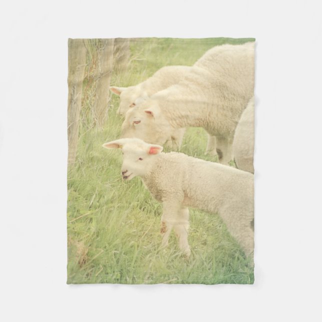 Couverture Polaire Agneau Bébé Animaux Mouton (Devant)