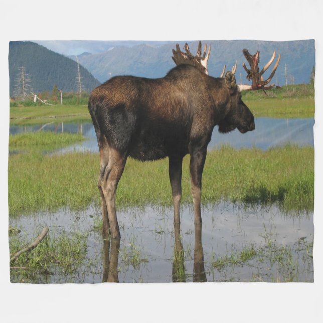 Couverture Polaire Alaska Bull Moose Antler Rack Scène extérieure pho (Devant (Horizontal))