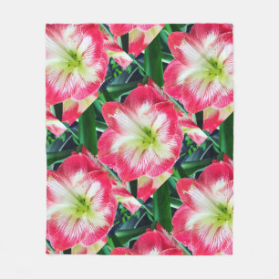 Couverture Polaire Amarilis rose blanc couleur douce fleur