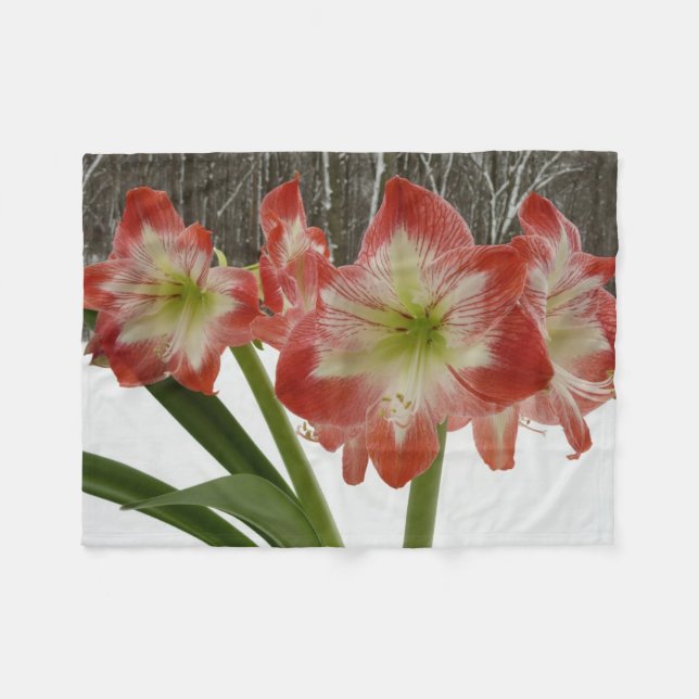 Couverture Polaire Amaryllis en Fête Rouge Neige Hiver Floral (Devant (Horizontal))