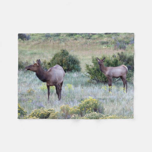 Couverture Polaire American Elk | Colorado (Devant (Horizontal))