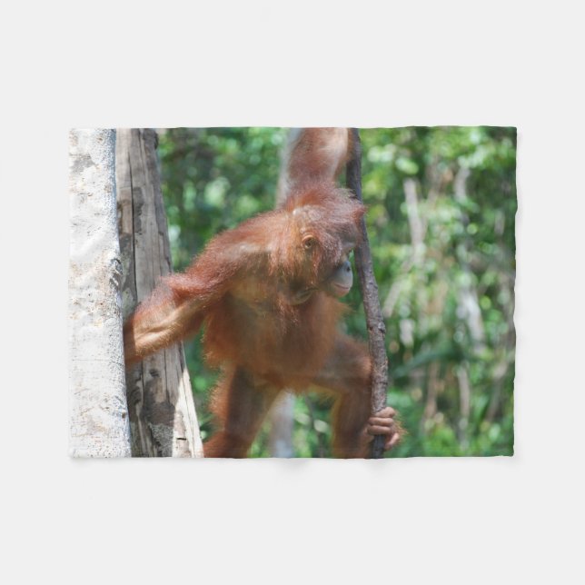 Couverture Polaire Amoureux des animaux d'orang-outan (Devant (Horizontal))