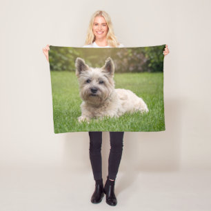 Couverture Polaire Animaux de bébés cutest   Cairn Terrier Dog