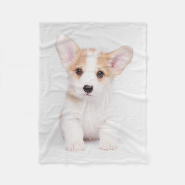 Couverture Polaire Animaux de bébés cutest | Chiot de Corgi blanc (Devant)