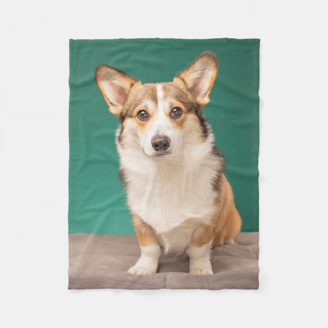 Couverture Polaire Animaux de bébés cutest | Corgi sur Turquoise (Devant)