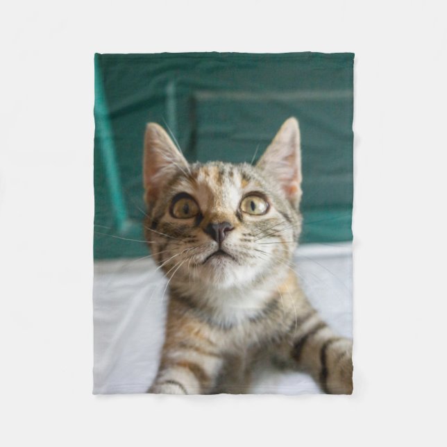 Couverture Polaire Animaux de bébés cutest | Cute Tabby Kitten (Devant)