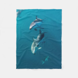 Couverture Polaire Animaux de bébés cutest   Famille de dauphins