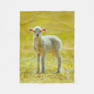 Couverture Polaire Animaux de bébés cutest Jeune mouton