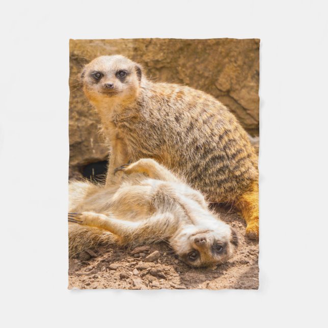 Couverture Polaire Animaux de bébés cutest | Meerkats joueurs (Devant)