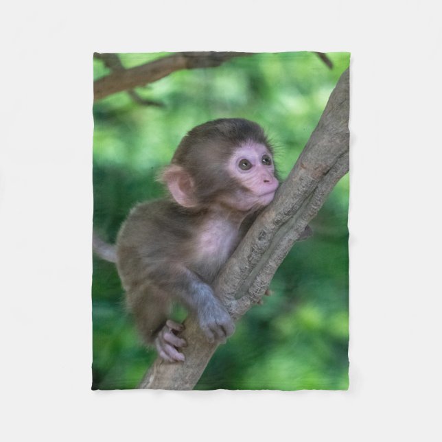 Couverture Polaire Animaux de bébés cutest | Singe bébé (Devant)