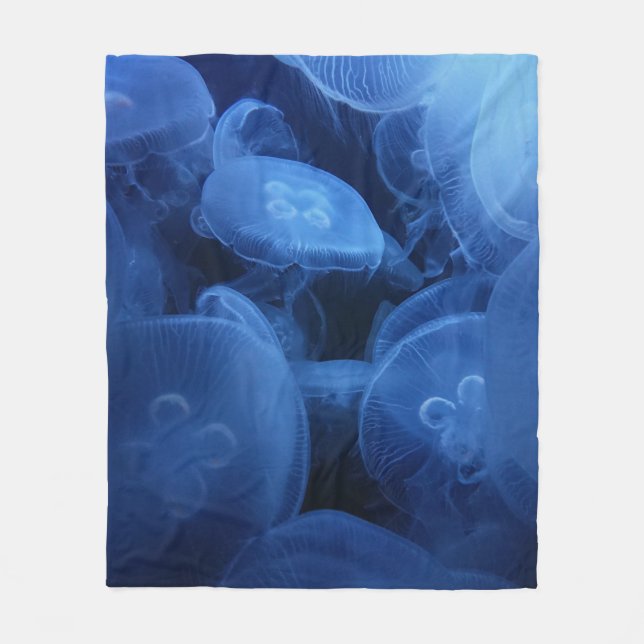 Couverture Polaire Animaux marins (Devant)