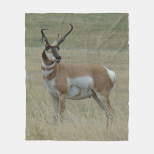 Couverture Polaire Antilope d'Amérique A37 Grand Buck à cornes torsad