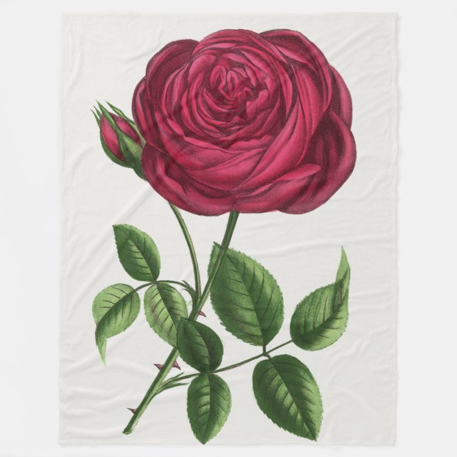 Couverture Polaire Antique Rose Lithograph, François-Frédéric Grobon (Devant)