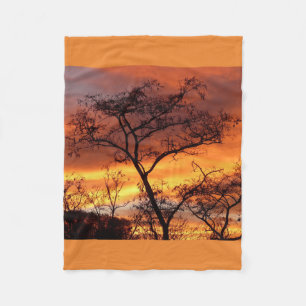 Couverture Polaire Arbre Papa Nature Paysages Destinée Ciel Destinée