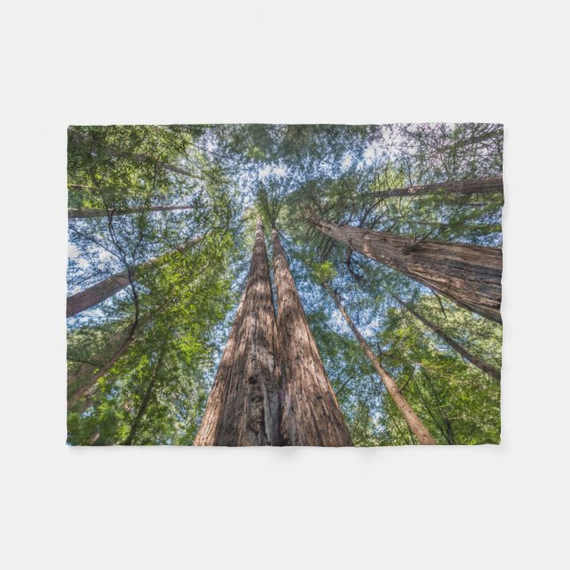 Couverture Polaire Arbres de séquoia | Comté de Marin, Californie (Devant (Horizontal))