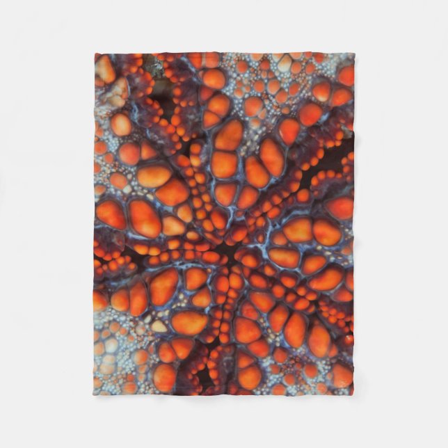 Couverture Polaire Arrière de l'étoile de mer |Cambodia (Devant)