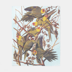 Couverture Polaire Audubon Carolina - Éclosion de perruques