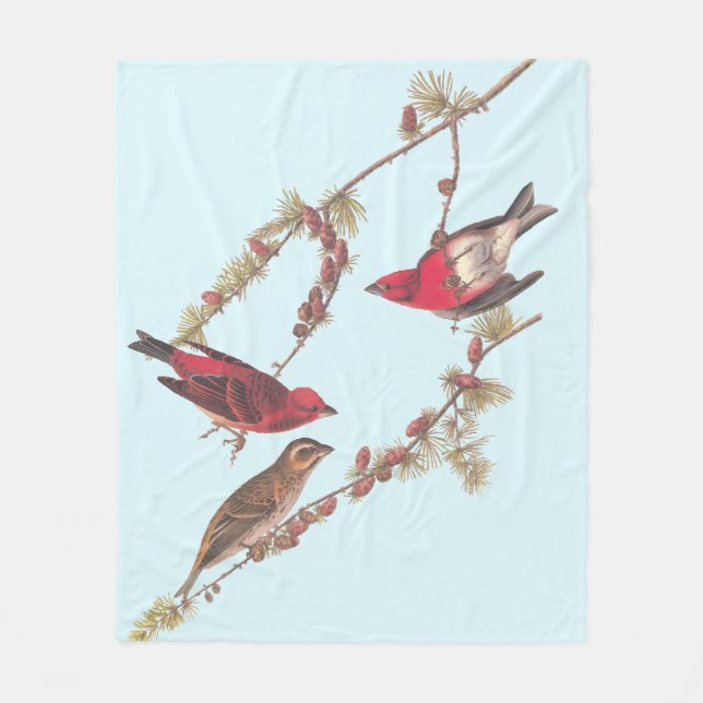 Couverture Polaire Audubon's Purple Finch Trois oiseaux rouges en hiv (Devant)