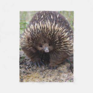 Couverture Polaire Australie Echidna Cute Animal Photo