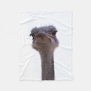 Couverture Polaire autruche
