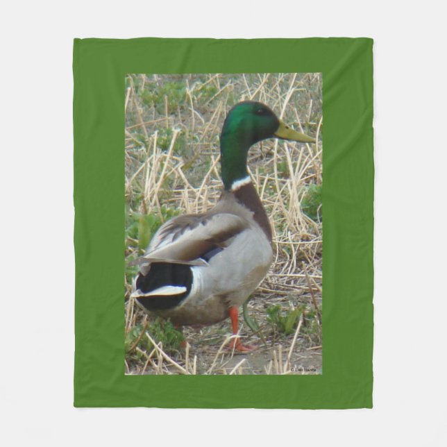 Couverture Polaire B12 Duck-Mallard Drake (Devant)