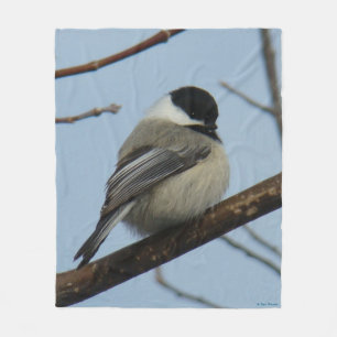 Couverture Polaire B21 Mésange à tête noire