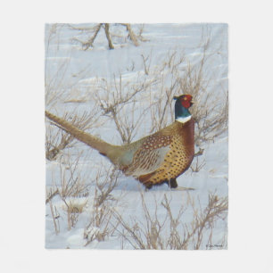 Couverture Polaire B22 Faisan à collier dans la neige