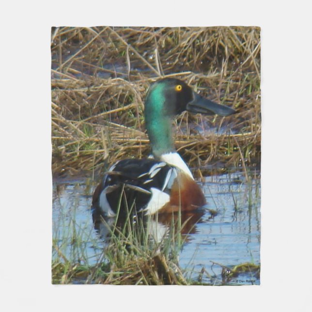 Couverture Polaire B26 Canard souchet mâle Spatule (Devant)