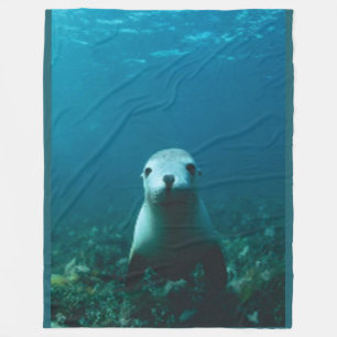 COUVERTURE POLAIRE BABY SEAL FLEECE BLANKET