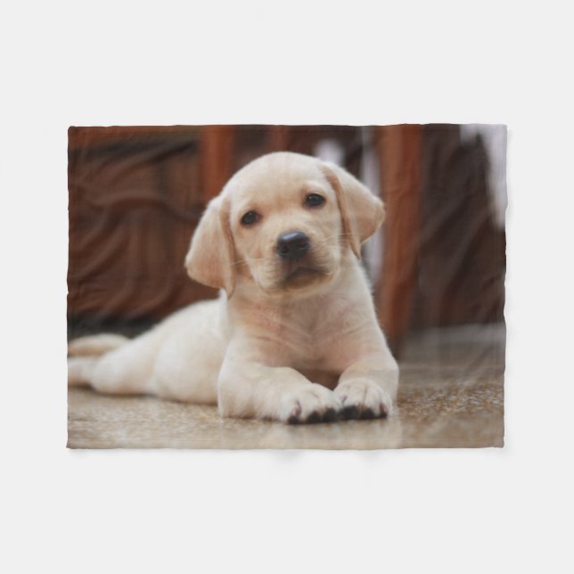 Couverture Polaire Baby Yellow Labrador Puppy Dog posé sur le ventre (Devant (Horizontal))