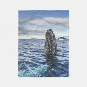 Couverture Polaire Baie d'espoir de Spyhops   de baleine de bosse,