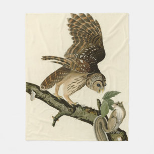 Couverture Polaire Barred Owl, John James Audubon's Birds of America