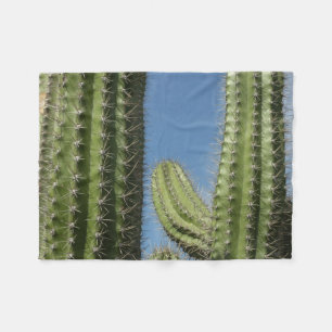 Couverture Polaire Barrel Cactus I Desert Photo